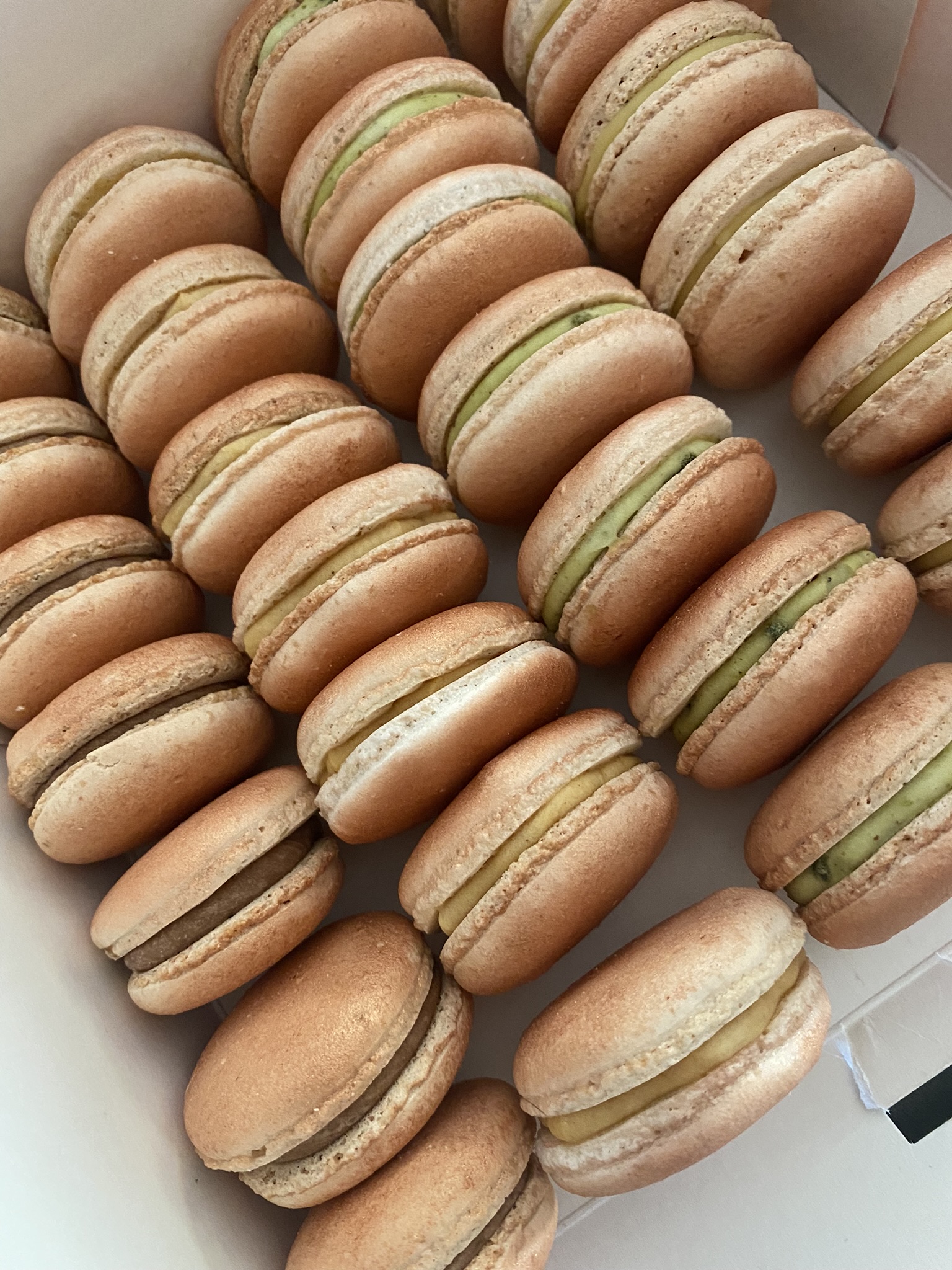 Macaron